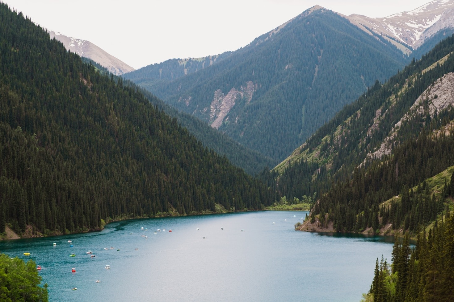 How to Start Your Digital Detox Journey