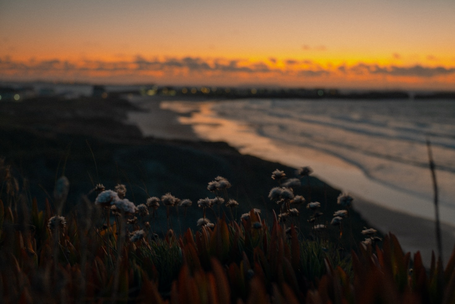Nature’s Healing: Rediscovering Joy Outside
